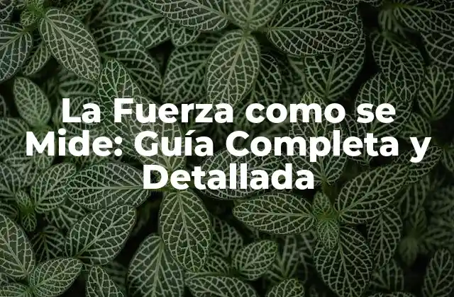 La Fuerza como Se Mide: Guía Completa y Detallada