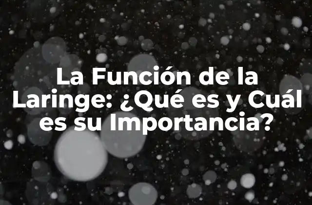 La Función de la Laringe: ¿qué es y Cuál es Su Importancia?