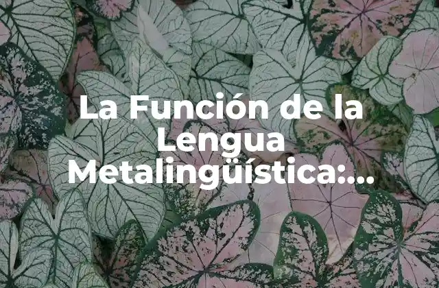 La Función de la Lengua Metalingüística: Ejemplos y Aplicaciones