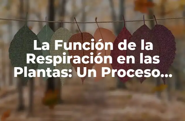La Función de la Respiración en las Plantas: un Proceso Vital