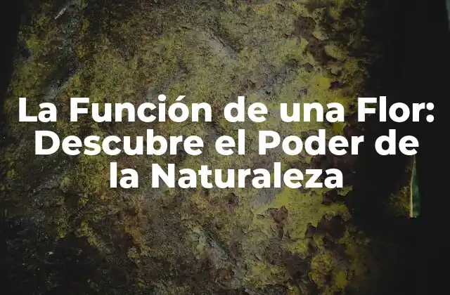 La Función de una Flor: Descubre el Poder de la Naturaleza
