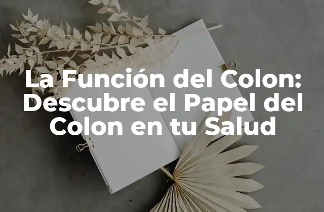 La Función Del Colon: Descubre el Papel Del Colon en Tu Salud