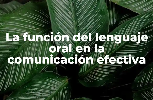 Características del lenguaje oral