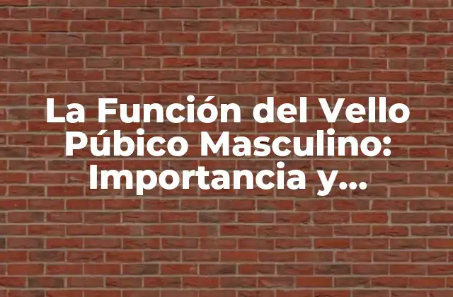 La Función Del Vello Púbico Masculino: Importancia y Significado