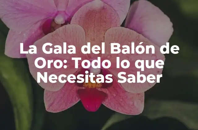 La Gala Del Balón de Oro: Todo Lo que Necesitas Saber