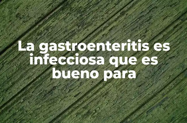 La Gastroenteritis es Infecciosa que es Bueno para