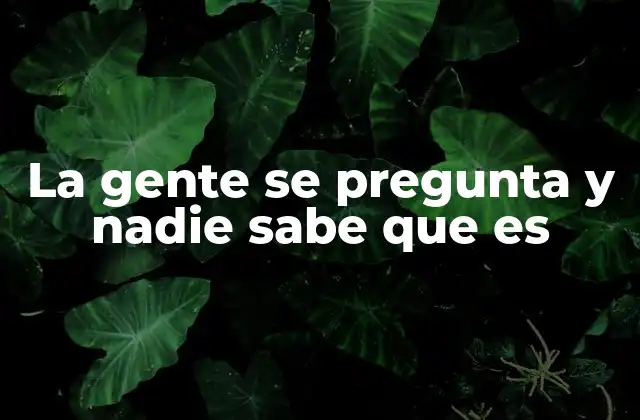 La Gente Se Pregunta y Nadie Sabe que es