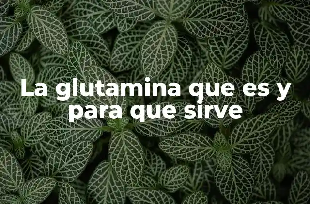 La Glutamina que es y para que Sirve