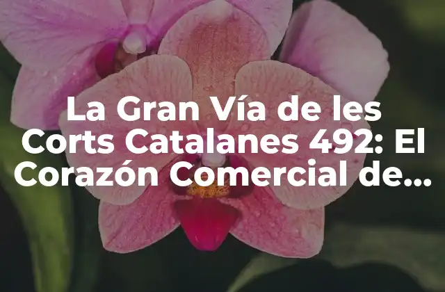 La Gran Vía de Les Corts Catalanes 492: el Corazón Comercial de Barcelona