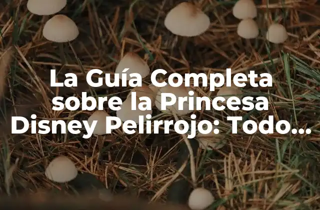 La Guía Completa sobre la Princesa Disney Pelirrojo: Todo Lo que Necesitas Saber