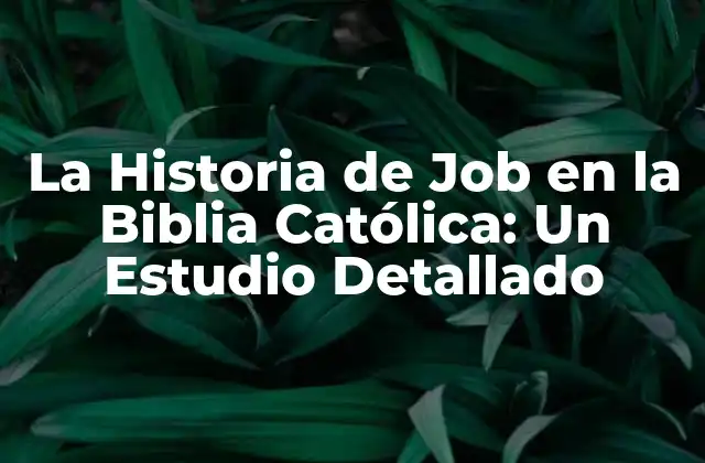 La Historia de Job en la Biblia Católica: un Estudio Detallado