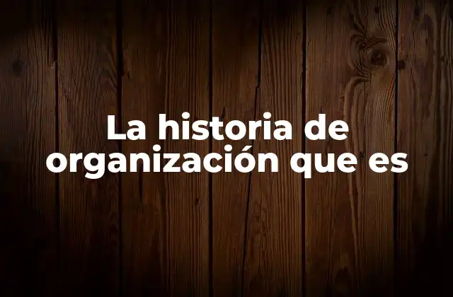 La Historia de Organización que es