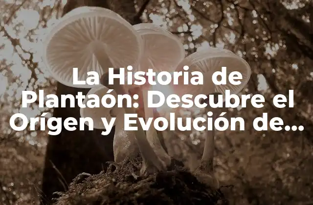 La Historia de Plantaón: Descubre el Orígen y Evolución de Esta Práctica
