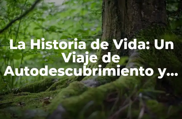 La Historia de Vida: un Viaje de Autodescubrimiento y Reflexión