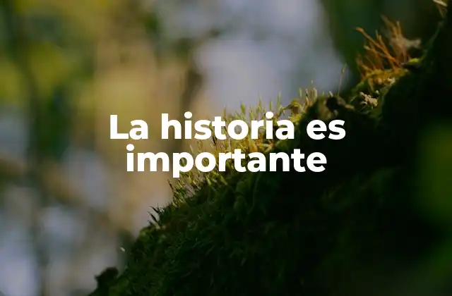 La Historia es Importante