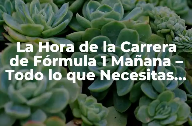 La Hora de la Carrera de Fórmula 1 Mañana – Todo Lo que Necesitas Saber