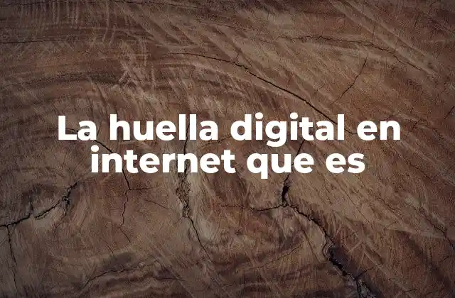 La Huella Digital en Internet que es
