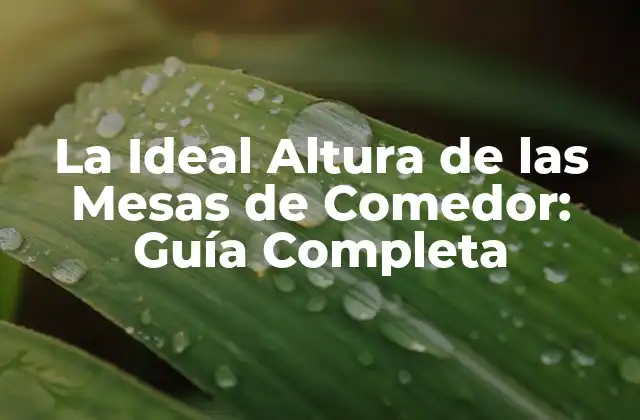La Ideal Altura de las Mesas de Comedor: Guía Completa