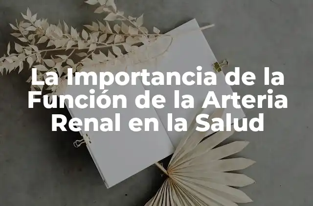 La Importancia de la Función de la Arteria Renal en la Salud