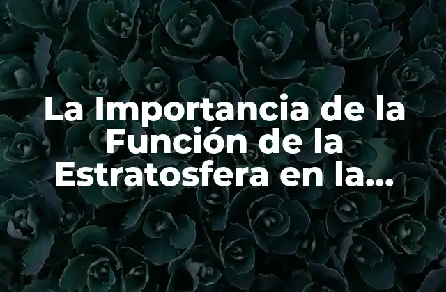 La Importancia de la Función de la Estratosfera en la Tierra