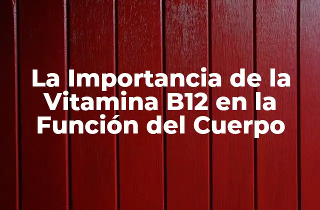La Importancia de la Vitamina B12 en la Función Del Cuerpo