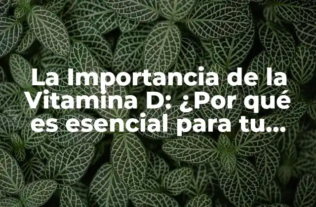 La Importancia de la Vitamina D: ¿por Qué es Esencial para Tu Salud?