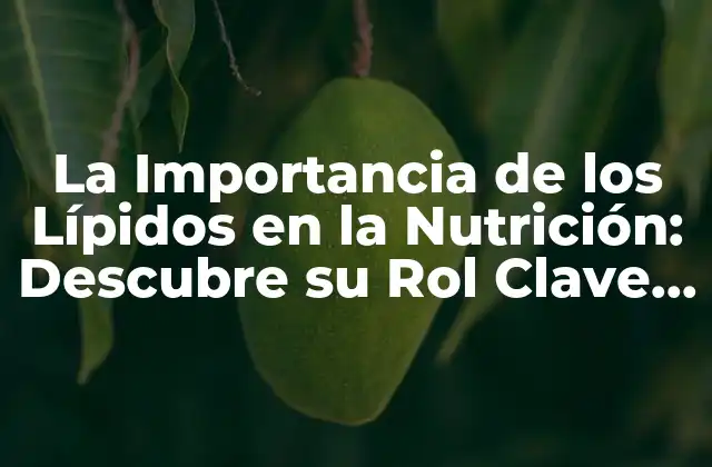 La Importancia de los Lípidos en la Nutrición: Descubre Su Rol Clave en Tu Salud