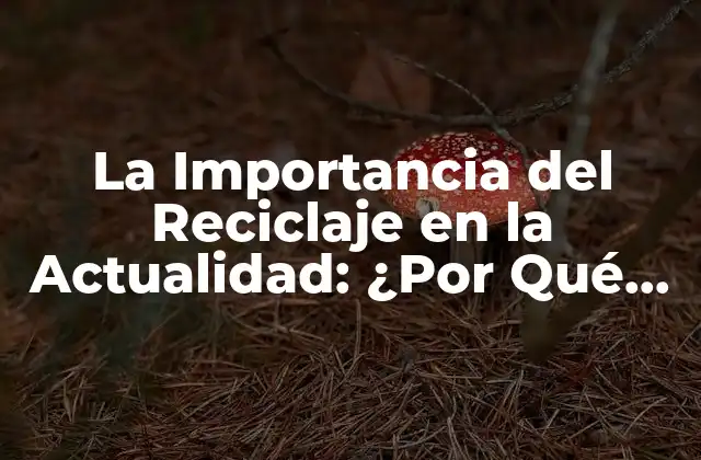 La Importancia Del Reciclaje en la Actualidad: ¿por Qué es Crucial para el Futuro Del Planeta?