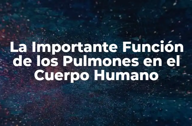 La Importante Función de los Pulmones en el Cuerpo Humano