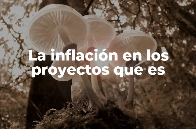 La Inflación en los Proyectos que es