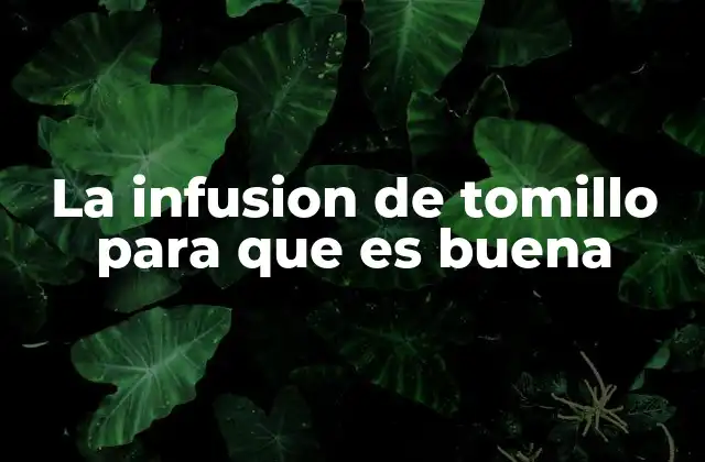 La Infusion de Tomillo para que es Buena