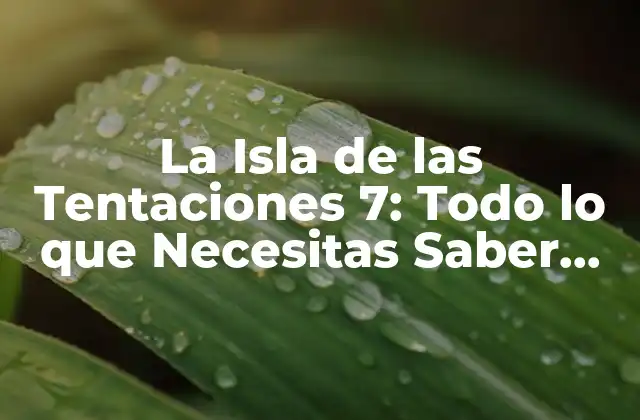 La Isla de las Tentaciones 7: Todo Lo que Necesitas Saber sobre la Temporada 6 Del 6 de Marzo