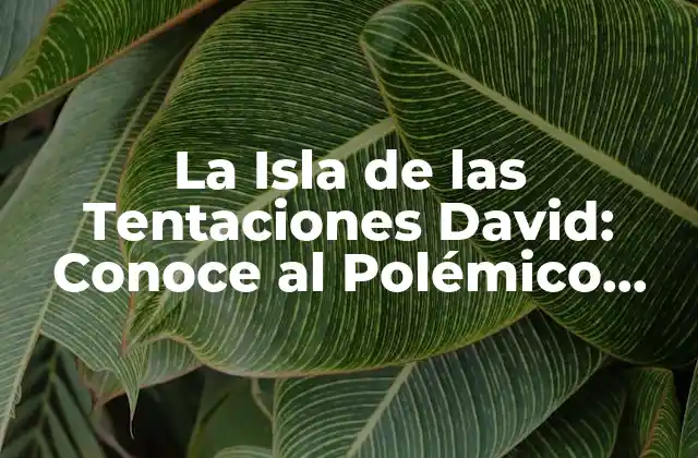 La Isla de las Tentaciones David: Conoce Al Polémico Participante