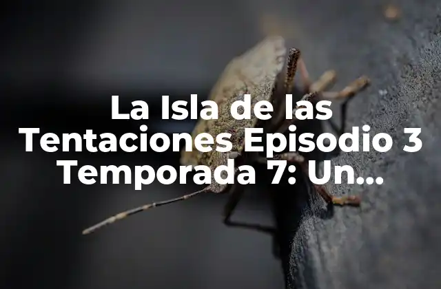 La Isla de las Tentaciones Episodio 3 Temporada 7: un Análisis Detallado
