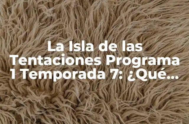 La Isla de las Tentaciones Programa 1 Temporada 7: ¿qué Sucedió en el Reality Show? 2 La Formato del Programa