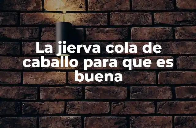 La Jierva Cola de Caballo para que es Buena