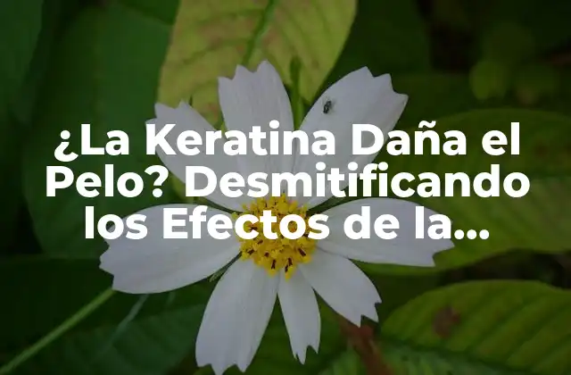 ¿la Keratina Daña el Pelo? Desmitificando los Efectos de la Keratina en el Cabello