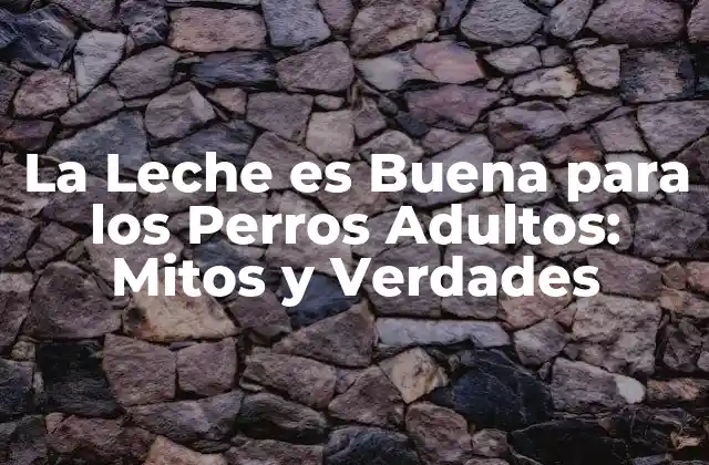 La Leche es Buena para los Perros Adultos: Mitos y Verdades