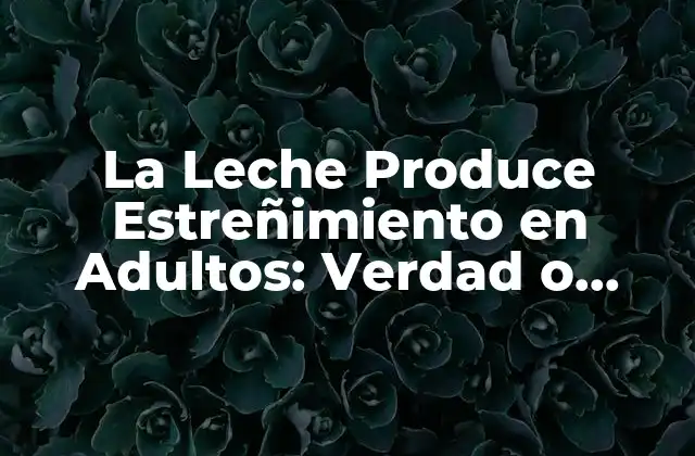 La Leche Produce Estreñimiento en Adultos: Verdad o Mitos