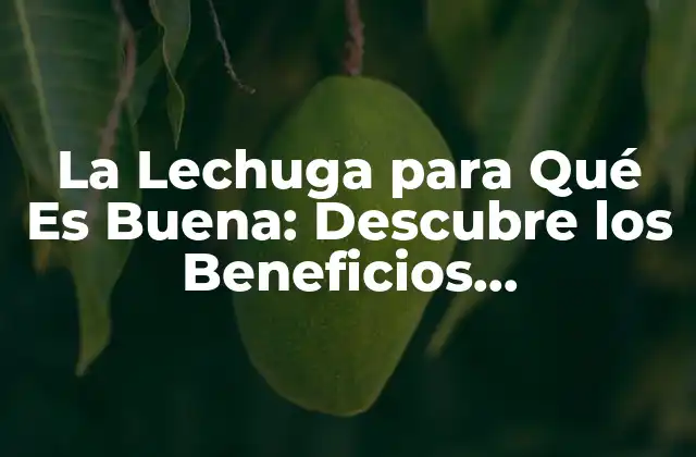 La Lechuga para Qué es Buena: Descubre los Beneficios Nutricionales y Culinarios