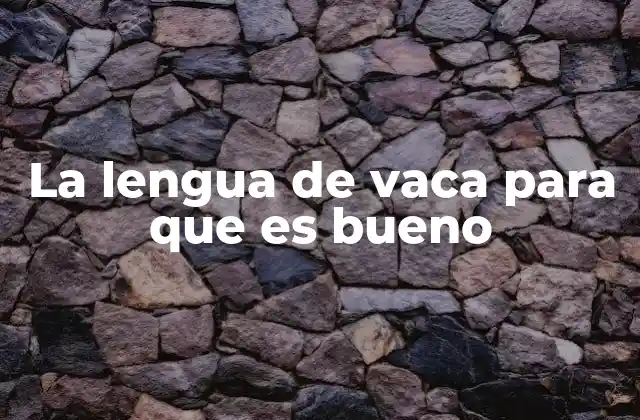 La Lengua de Vaca para que es Bueno