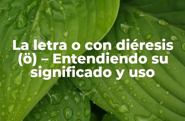 La Letra o con Diéresis (ö) – Entendiendo Su Significado y Uso