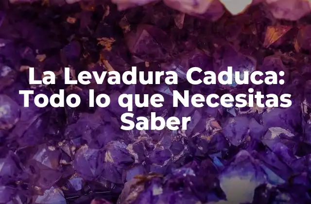 ¿Qué es la Levadura Caduca?