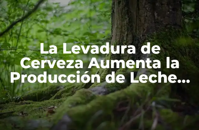 La Levadura de Cerveza Aumenta la Producción de Leche Materna: una Solución Natural