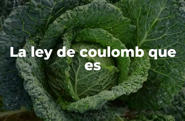 La Ley de Coulomb que es