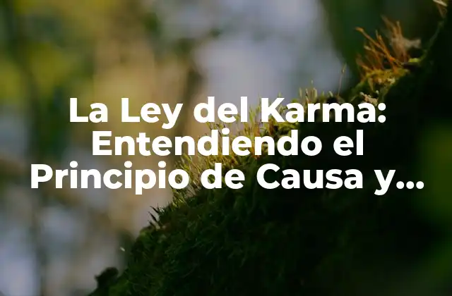 La Ley Del Karma: Entendiendo el Principio de Causa y Efecto