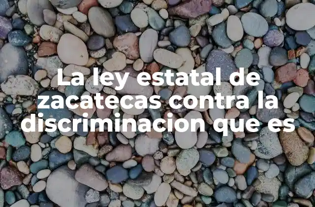 La Ley Estatal de Zacatecas contra la Discriminacion que es