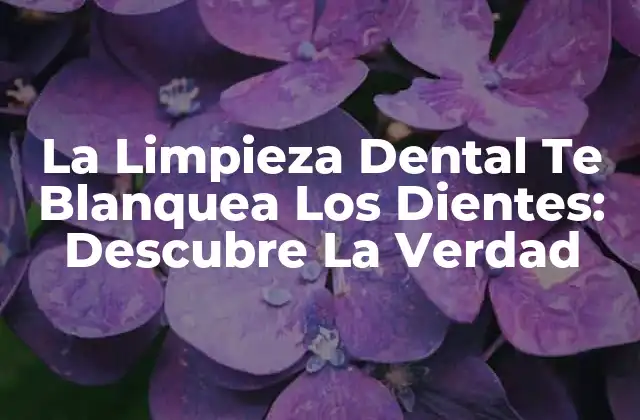 La Limpieza Dental Te Blanquea los Dientes: Descubre la Verdad 2 ¿Qué Es La Limpieza Dental?