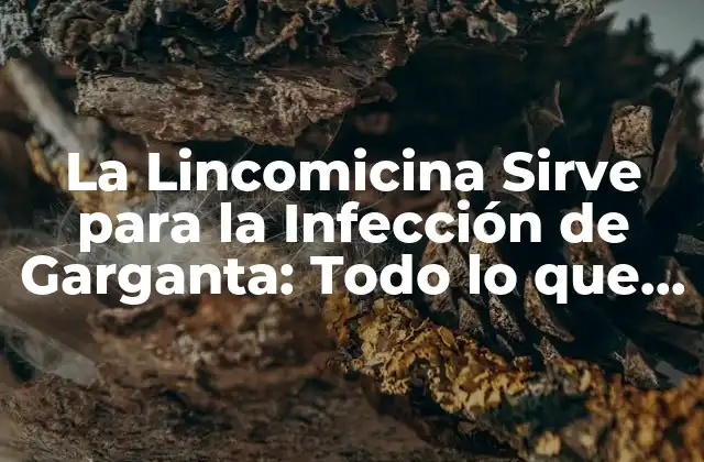 La Lincomicina Sirve para la Infección de Garganta: Todo Lo que Necesitas Saber