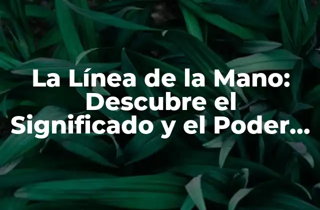 La Línea de la Mano: Descubre el Significado y el Poder de Esta Rasgo Único